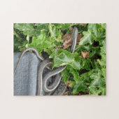 Slangen leven! Het is een Garter Snake. Legpuzzel (Horizontaal)