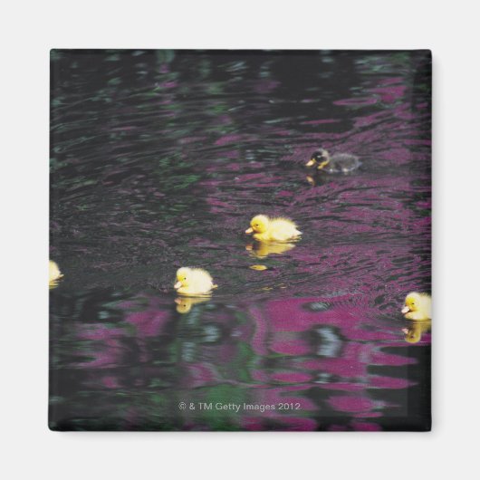 slangen magneet (Voorkant)