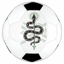 Slangen Oasis Voetbal