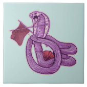 Slangenbreien Tegeltje (Voorkant)