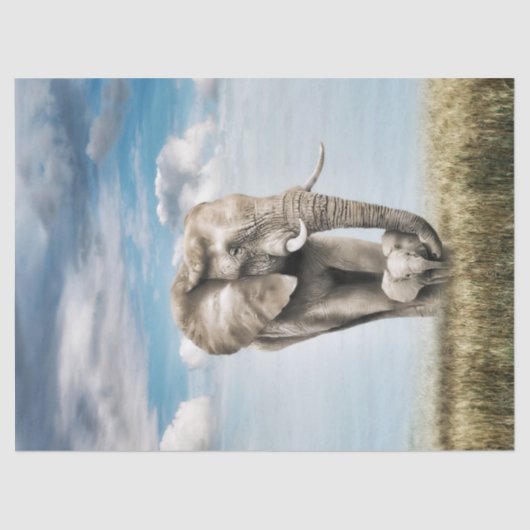 Slangend Elephant Baby Calf Tissuepapier (Voorkant)