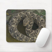 Slangendansers Afrikaanse Pofadder Bitis Muismat (Met muis)