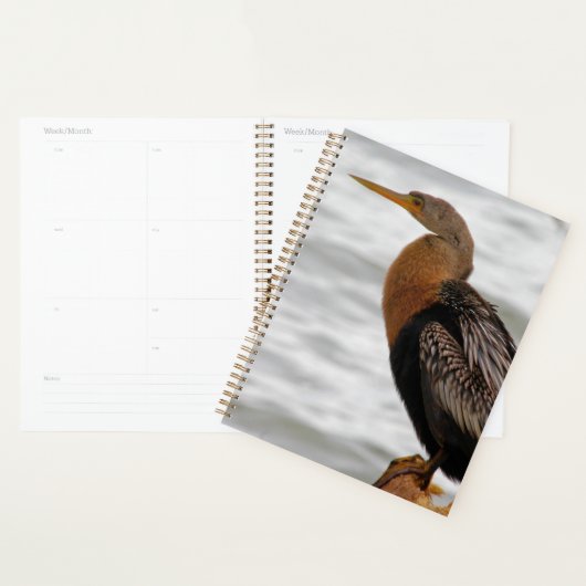 Slangende Slangenhalsvogel Planner (Display)