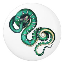  slangenillustratie reptiel groen wit