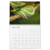 Slangenkalender 2025 kalender (Jan 2027)