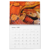 Slangenkalender 2026 kalender (Jan 2027)