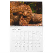 Slangenkalender 2026 kalender (Jan 2027)