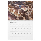 Slangenkalender 2026 kalender (Feb 2027)