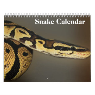 Slangenkalender 2027 kalender