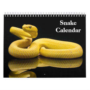 Slangenkalender 2027 kalender