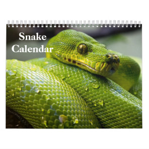 Slangenkalender 2027 kalender