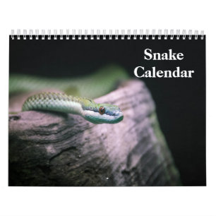Slangenkalender 2027 kalender