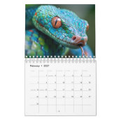 Slangenkalender 2027 kalender (Feb 2027)