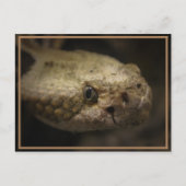 Slangenkop Briefkaart (Voorkant)