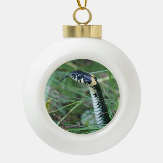Slangenkop Keramische Bal Ornament (Voorkant)