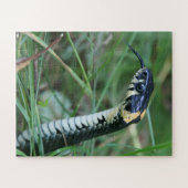 Slangenkop Legpuzzel (Horizontaal)