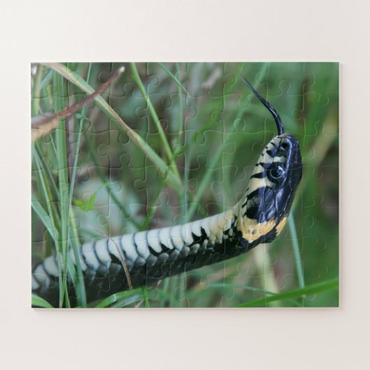 Slangenkop Legpuzzel (Horizontaal)