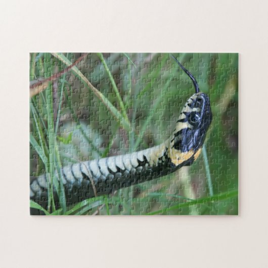 Slangenkop Legpuzzel (Horizontaal)