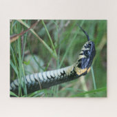 Slangenkop Legpuzzel (Horizontaal)