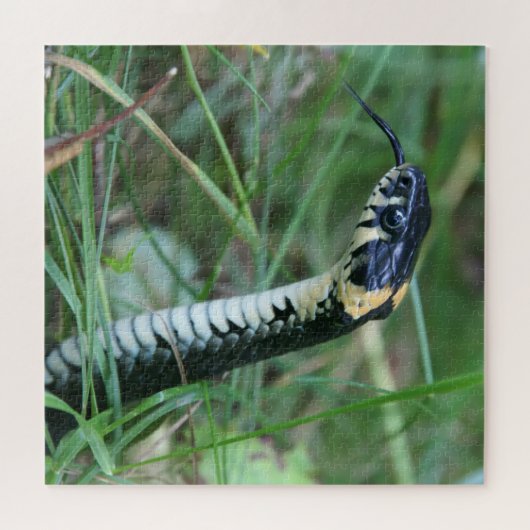 Slangenkop Legpuzzel (Horizontaal)