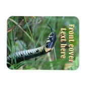 Slangenkop Magneet (Horizontaal)