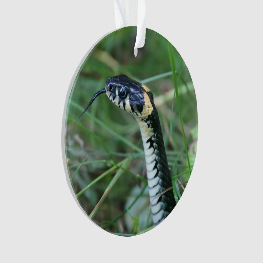 Slangenkop Ornament (voorkant)