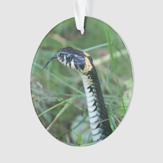 Slangenkop Ornament (voorkant)