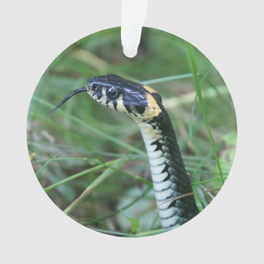 Slangenkop Ornament (voorkant)
