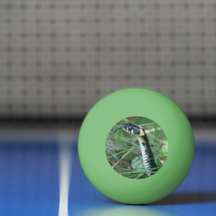 Slangenkop Pingpongbal