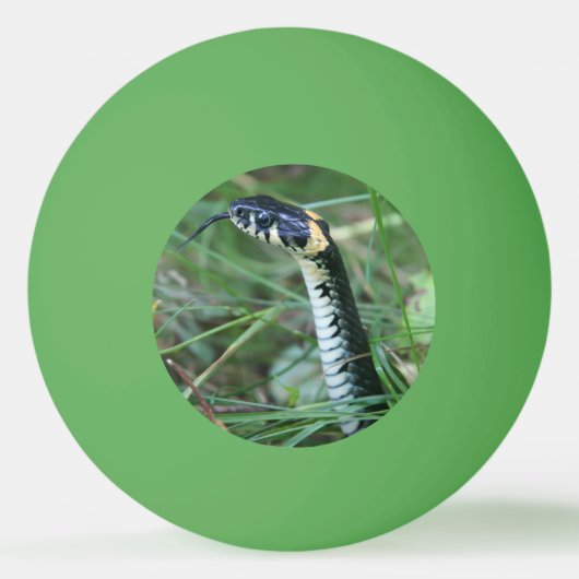 Slangenkop Pingpongbal (Voorkant)