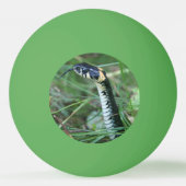 Slangenkop Pingpongbal (Achterkant)