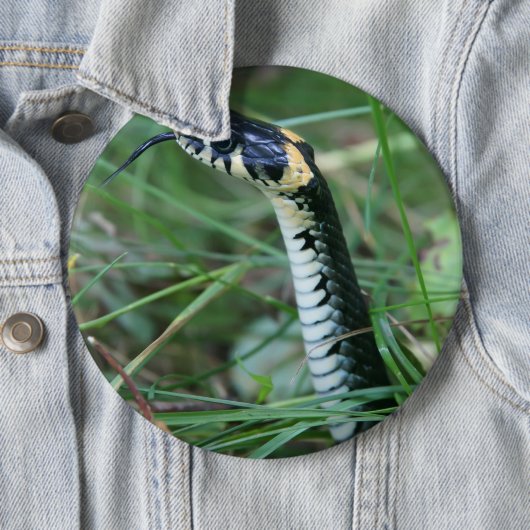 Slangenkop Ronde Button 6,0 Cm (In situ)