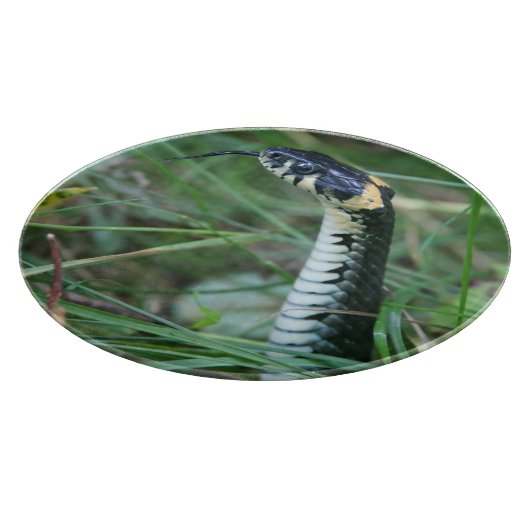 Slangenkop Snijplank (Hoek)