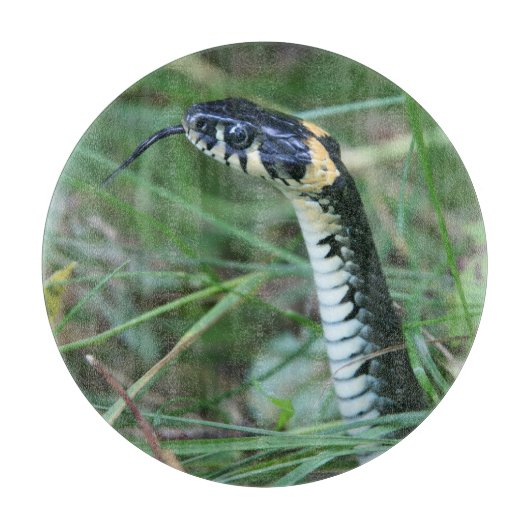 Slangenkop Snijplank (Voorkant)