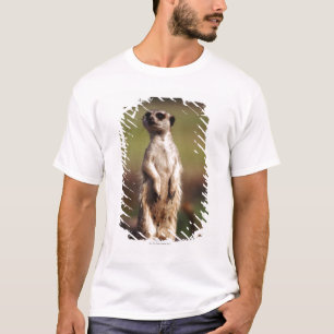slangenkruid t-shirt