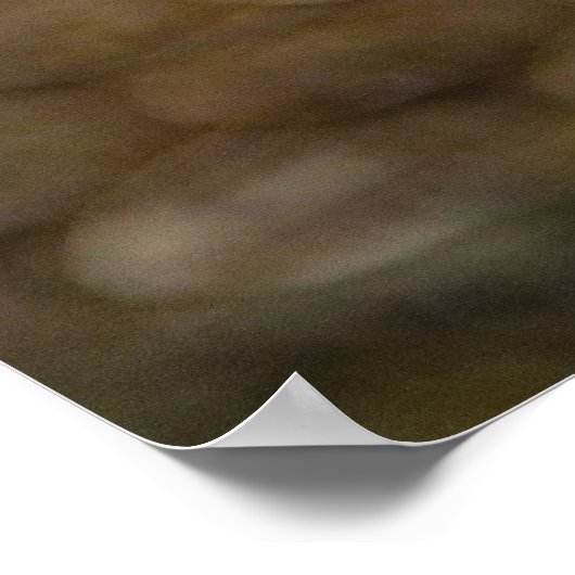 slangenoog poster (Hoek)