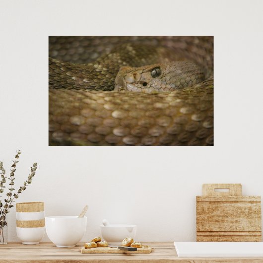 slangenoog poster (Keuken)