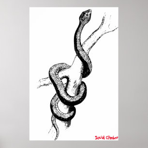 Slangenposter Poster