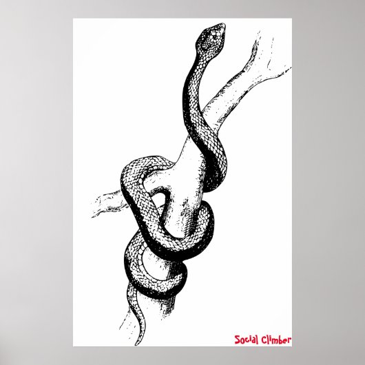 Slangenposter Poster (Voorkant)