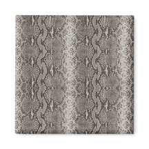 Slangenprint van python