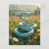 Slangensymboliek Briefkaart (Voorkant)