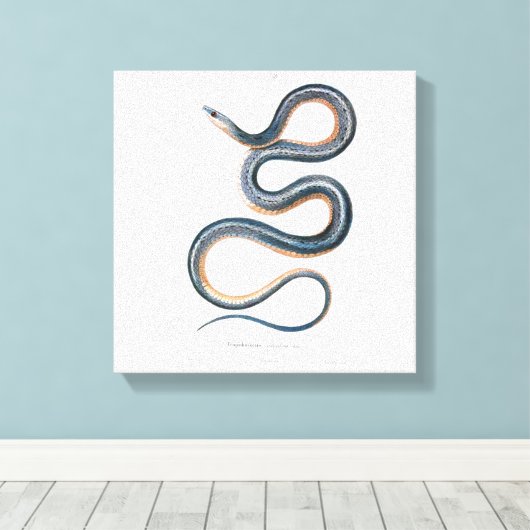  slangentekening Victoriaans Art Nouveau Snake Canvas Afdruk (Insitu (Houten vloer))