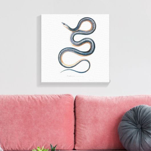 slangentekening Victoriaans Art Nouveau Snake Canvas Afdruk (Insitu (Woonkamer))