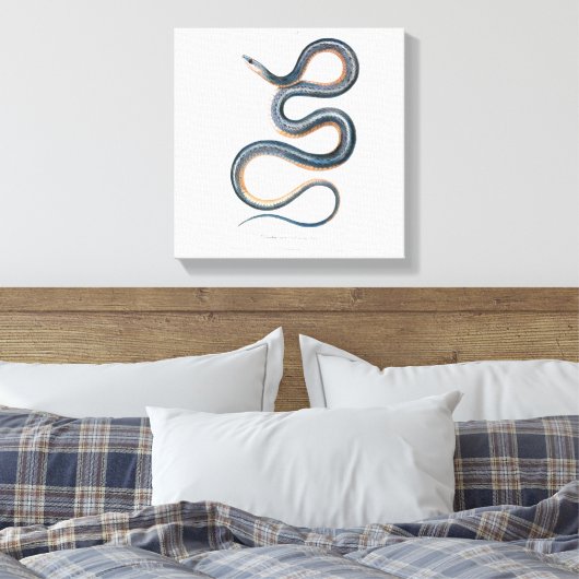 slangentekening Victoriaans Art Nouveau Snake Canvas Afdruk (Insitu (Slaapkamer))