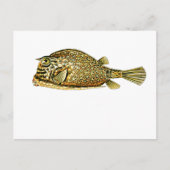 Slangoest Briefkaart (Voorkant)