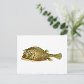 Slangoest Briefkaart (Staand voorkant)