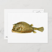 Slangoest Briefkaart (Voorkant / Achterkant)