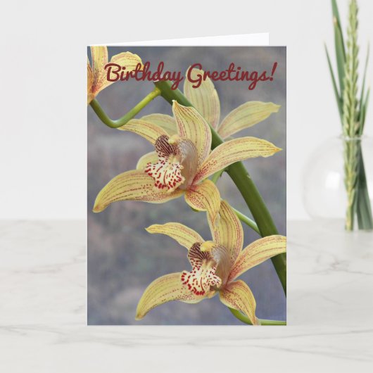 Slank gestrooide orchideeën kaart (Voorkant)