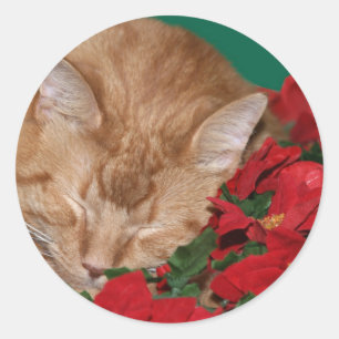 Slank kerstkat ronde sticker