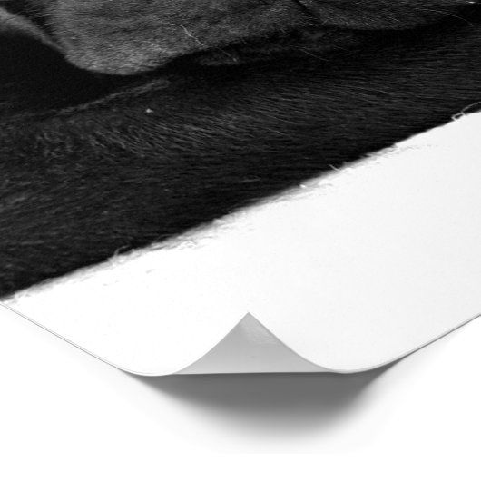 Slank Poster afdrukken (Hoek)